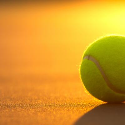 关于举办第六届南方科技大学学生网球比赛的通知